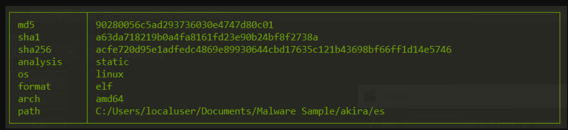 Static Analysis of Akira Ransomware