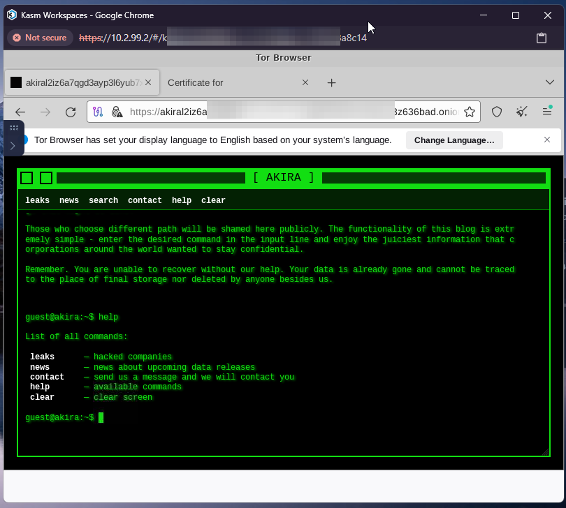 Static Analysis of Akira Ransomware
